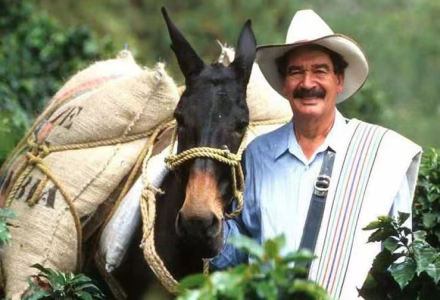Famous Colombian Coffee Bean Brands: Price Guide and Introduction to Colombian Coffee Varieties, Grades, and Characteristics