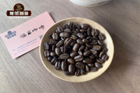 Civet Cat Coffee Flavor Profile, Varieties, Origin Characteristics, and Premium Coffee Bean Introduction