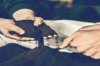 Coffee Grounds Can Achieve Zero Carbon Dioxide Emissions When Roasting Coffee Beans, and Here's Why...