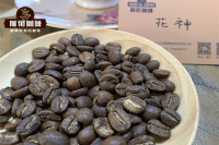 The Best Coffee Brands from Guatemala on the Market Is Guatemala Flor Coffee Expensive