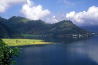 What Are the Characteristics of Indonesian Sumatra Coffee? What is Wet-Hulling?