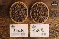 What's the difference between Caturra and Catuai coffee? Is Caturra an Arabica variety? What are the characteristics of Catuai coffee?