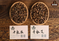 What's the difference between Caturra and Catuai coffee? Is Caturra an Arabica variety? What are the characteristics of Catuai coffee?