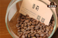 Characteristics of Honduras Whiskey Sherry Barrel Processed Coffee Beans and Pour-over Sherry Coffee Bean Brewing Techniques