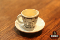 V60 vs Ice Pupil Dripper: Which Coffee Filter Offers Perfect Paper Fit and Optimal Extraction?