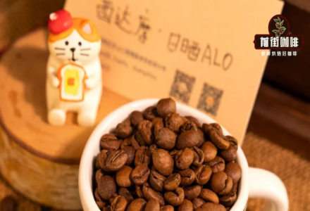 Introduction to Alo Village in Bensa Town, Sidama: What Does Alo Coffee Mean?