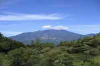 Panama | Introduction to Geisha Coffee Beans from Boquete Coffee Region