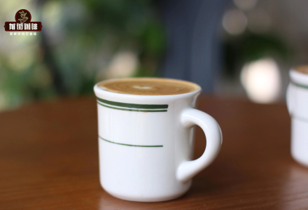 Sidamo Guji Coffee Bean Flavor Profile & Origin Information: How to Make a Guji Flat White