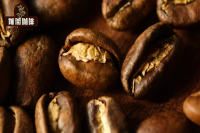 Difference Between Natural and Washed Coffee Beans! Do Coffee Beans with White Silver Skin Indicate Natural or Washed Processing?