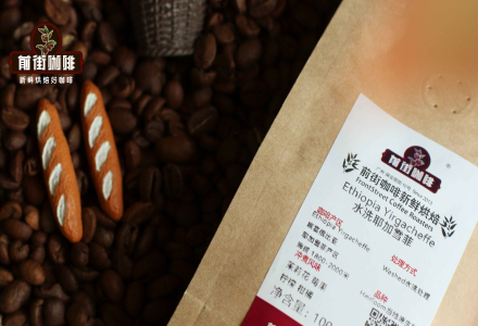 Is Yirgacheffe Pour-Over Coffee Black Coffee? How to Brew Yirgacheffe Coffee Beans for the Best Taste?