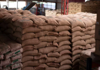 Where Do Premium Specialty Coffees from São Paulo, Brazil Originate? What Are the Differences Between Pulped Natural and Natural Processing Methods?