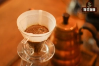 How to Brew Coffee with Rich Body! What Brewing Parameters Should You Use for Medium-Dark Roast Coffee Beans?