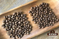 The Flavor Differences Between Natural and Washed Coffee: Which Processing Method Produces More Acidity?