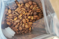 What Causes Uneven Coffee Bean Roast Colors? Why Do Light Roast Coffee Beans Have Color Variations?