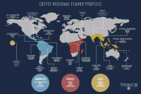 Where are the main coffee bean producing regions in the world | Introduction to coffee belt distribution map
