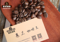 How to Brew Colombian Coffee Beans Introduction to Pour-Over Method Characteristics