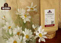 Yirgacheffe Coffee Beans vs Honduras Sherry Coffee Beans: Flavor Differences and Light Roast Brewing