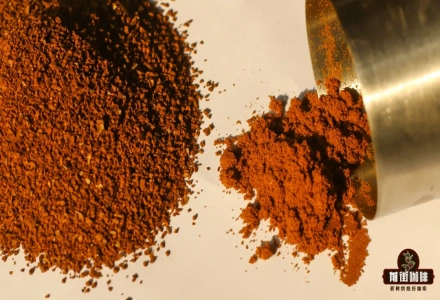 What to Do with Too Much Coffee Fines? How to Brew with Fine Coffee Grounds? What's the Difference Between Fine and Coarse Grounds?