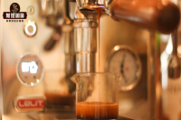 Espresso Water-to-Coffee Ratio: Characteristics and Golden Ratio Extraction Methods