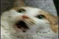 What's the Difference Between Black Coffee and Americano? Is Pour-Over Coffee Also Black Coffee? What's the Difference Between Moka Pot and Espresso Machine?