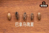 What is the connection between Gorie Gesha and Gesha 1931 from Ethiopia's Gesha Village and Panama's Gesha?