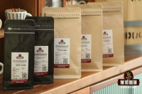 Single Origin Coffee Beans vs. Blend Coffee Beans: Which Tastes Better?