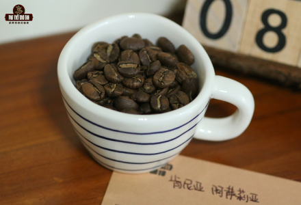 Introduction to Kenyan Coffee Beans - Varieties, Characteristics, Flavors, and Brewing