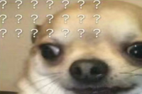 The One-Pour Brewing Method Invented by a World Champion, Surprisingly Simple