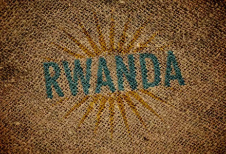 What Makes Rwandan Coffee Special - An Introduction to Rwandan Coffee Regions, Flavor Characteristics and Profiles