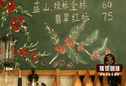 Panama Premium Coffee Beans Introduction – Geisha: What Makes Panama Coffee Special?