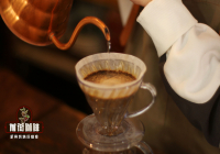 What Techniques Matter in Coffee Brewing? Are Coffee Beans More Important Than Extraction Methods?