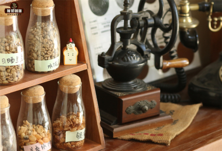 Geisha Coffee Flavor Profile - Introduction to Panama Elida Geisha Coffee Bean Taste Characteristics