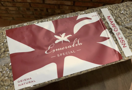 Hacienda La Esmeralda Auction and Differences Between Red, Green, and Blue Labels - Which Geisha Coffee Beans Taste Best?