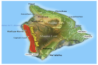 Hawaiian Coffee Beans | Introduction to Kona Premium Coffee Growing Region, What Do the World's Most Beautiful Coffee Beans Look Like?