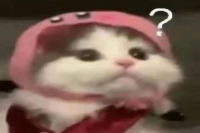 Where Does the Wine-like Flavor of Cold Drip Coffee Come From? What's the Grind Size, Ratio, and Parameters for Making Cold Brew Coffee? What is Low-Temperature Aging?