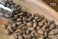 How Expensive is Geisha Coffee? Geisha Coffee Bean Price Per Kilogram and Pour-Over Cost Per Cup