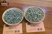 How to Obtain Rainforest Alliance Certification? What Are 