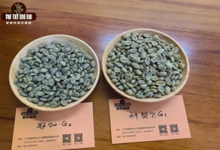 How to Obtain Rainforest Alliance Certification? What Are 