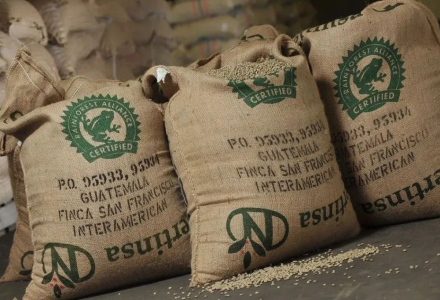 What is Rainforest Alliance Certification? What Are 
