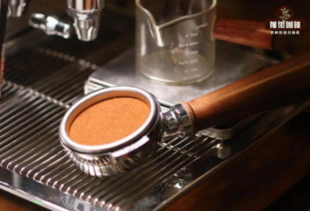 Key Differences Between SOE Coffee Beans and Single-Origin Beans: What Does SOE Espresso Mean?