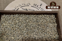 What is Authentic Blue Mountain Coffee and How to Identify It - Introduction to the Country and Brand of Blue Mountain Premium Coffee Beans