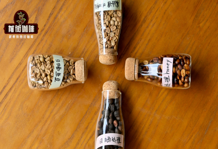 How to Identify Coffee Processing Methods in One Sip? What's the Difference Between Natural and Washed Processing? How to Taste Pour-Over Coffee?
