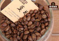 Mozart Coffee Recommended Brewing Methods - What Flavors Does the Canet Estate Musician Series Mozart Coffee Offer?