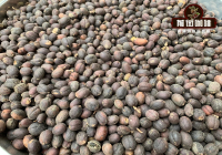 Flavor Profile and Characteristics of Yunnan Baoshan Coffee Beans - An Introduction to Yunnan Typica Coffee