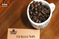 Introduction to Brazilian Coffee Varieties, Cultivars, and Culture - Flavor Profile and Taste Description of Brazilian Red and Yellow Bourbon Coffee Beans