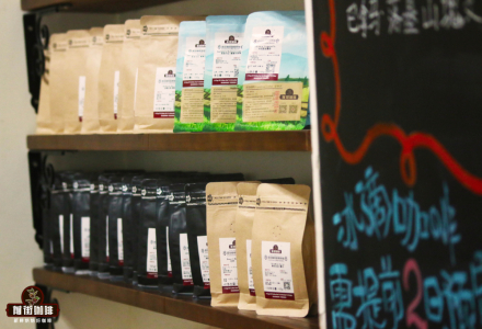 How to Drink Colombian Coffee? Brewing Methods for Colombian El Paraiso Estate Sakura Coffee Beans