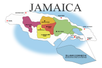 Introduction to World Specialty Coffee Estates; Detailed Introduction to Jamaica Blue Mountain No. 1 Clifton Estate