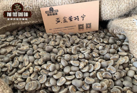 What is the Water-to-Coffee Ratio for Nicaraguan Mamamina Estate Natural Pacamara Pour-Over Coffee?