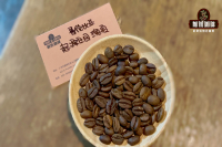 Colombian Geisha Coffee Beans: Estate Origin, Flavor Profile, Taste Characteristics, and Variety Introduction