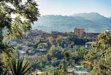 What are the characteristics of Guatemalan coffee and how are coffee beans graded?